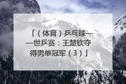 （体育）乒乓球——世乒赛：王楚钦夺得男单冠军（3）